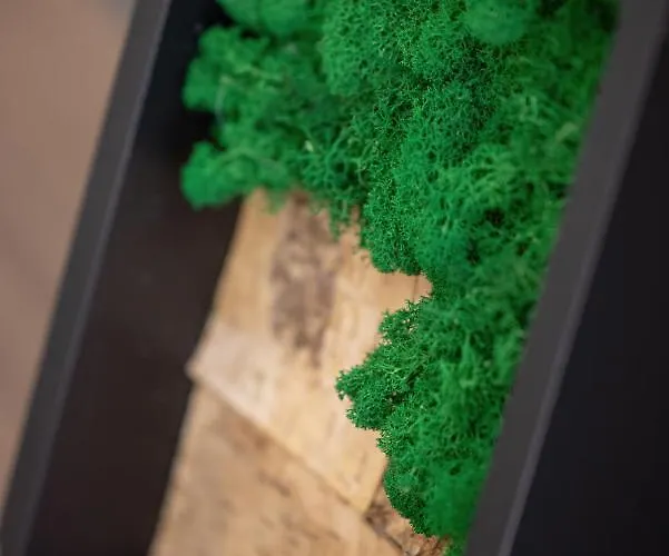 Karat Apartment Pobierowo